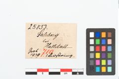 Etikett zu Bernsteinringperle (NHMW-PRAE-025853)